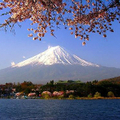 日本移民